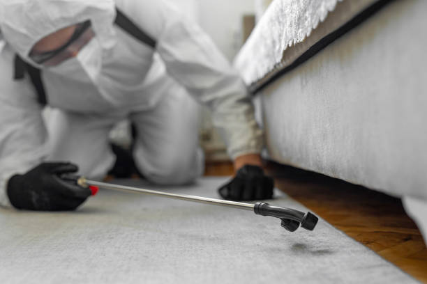 Professional Bed Bug Control technician working in Boaz, AL